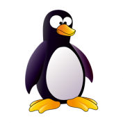 Google Penguen den Sonra SEO anlamsız mı?